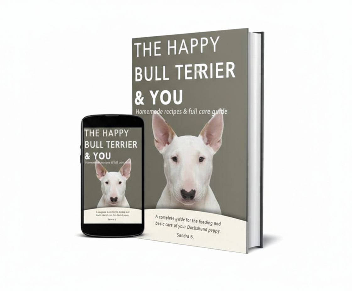 Bull Terrier Puppy Health Care